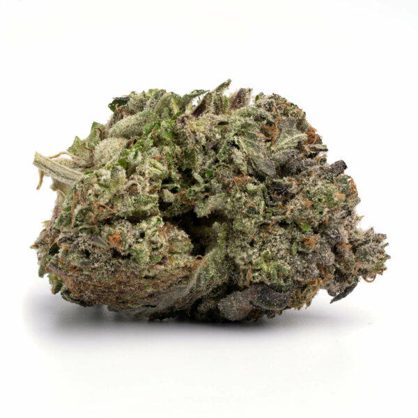 alien og.jpg