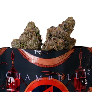 champelli ropeium.webp