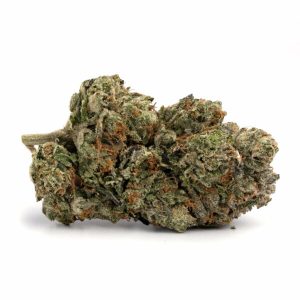 g13.jpg