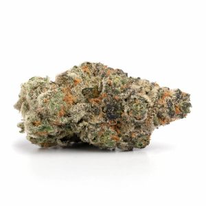 gelato 33.jpg