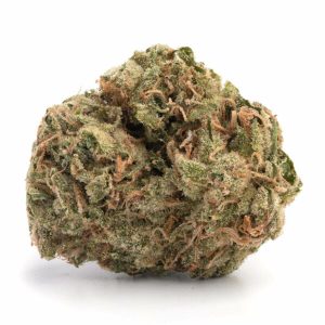mango haze.jpg