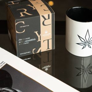 shop 08.jpg