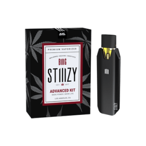 stiiizy s biiig starter kit black.webp